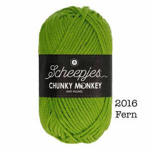 Scheepjes Chunky Monkey - 2016 Fern