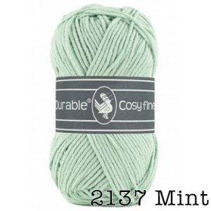 Durable Cosy Fine - 2137 Mint