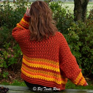 Haakpakket Korte Milly Rose Vest gestreept